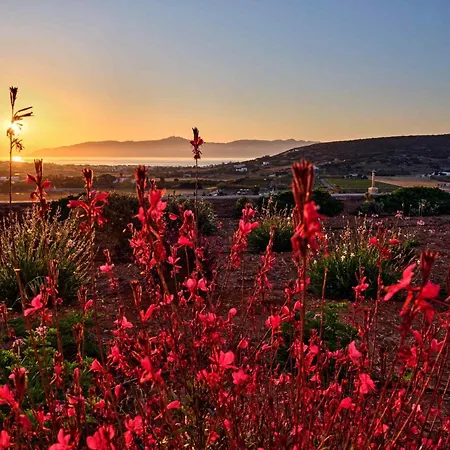 Luxurious Seirios Isterni (Paros)