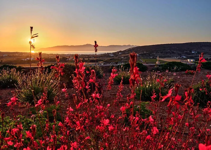 Luxurious Seirios Isterni (Paros)